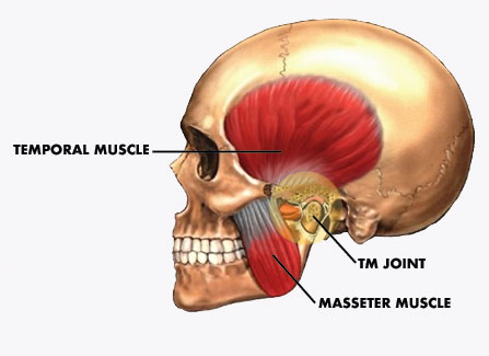 Jaw Treatment | TMJ Treatment